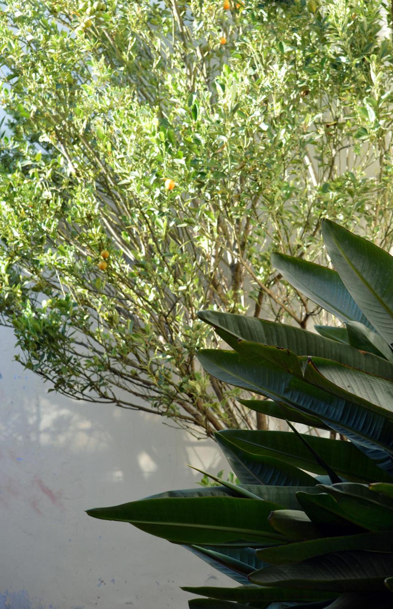 Ave Del Paraiso Guest House Antigua Εξωτερικό φωτογραφία
